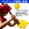 NOELAMOUR 50pcs 42mm Hole Ball Practice Ball Training Ball Batting