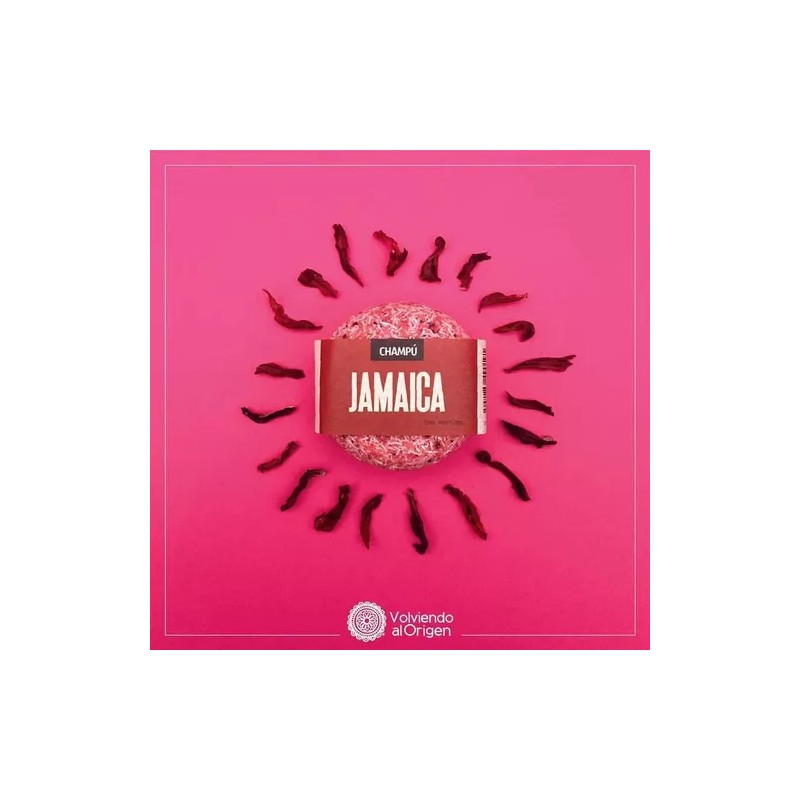Volviendo al Origen Champú Sólido Jamaica 120g Volviendo Al Origen
