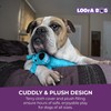 Multipet Loofa Dog Plush Toy w/ Birthday Hat - Squeaky