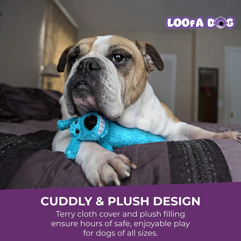 Multipet Loofa Dog Plush Toy w/ Birthday Hat - Squeaky