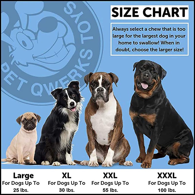 Pet Qwerks Extreme Dinosaur BarkBone Dog Chew Toy