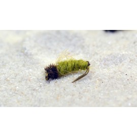 6 Ct - Z Wing Caddis Nymph Fishing Flies - Mustad Heritage Fly Hooks (6ct - Assortment)