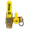 Webstone 50613 3/4-Inch SWT Pro-Pal Ball Valve with Hi-Flow Hose