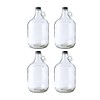 Fastrack 4-Pack 1 Gallon Glass Jug Set (128 oz) w/