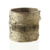 Afloral Natural Birch Vase with Clear Liner - 4.75" Tall