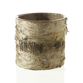 Afloral Natural Birch Vase with Clear Liner - 4.75" Tall x 4.75" Wide