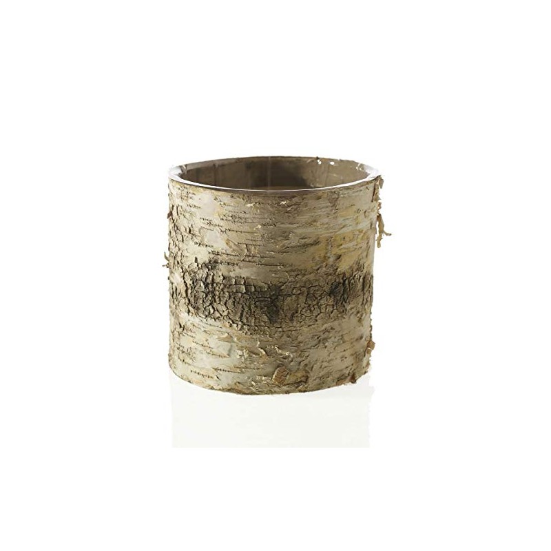 Afloral Natural Birch Vase with Clear Liner - 4.75" Tall