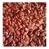Cacao En Grano 5 Kg