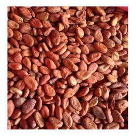 Cacao En Grano 5 Kg