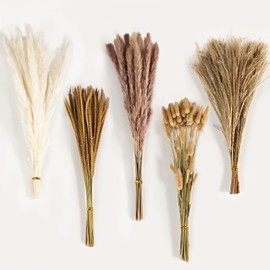 Decoración de Hierba de la Pampa Seca, 120 Piezas de Decoración para Fiesta de Bodas Casera Boho, Arreglos de Flores Secas, Hierba de la Pampa Blanca y Natural, Caña, Colas de Conejo (A)
