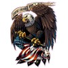 Nostalgia Decals American Eagle with Flag These Colors Don't Run