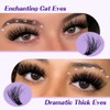 B&Q Fluffy Lash Clusters Kit 100D+200D Dramatic Eyelash Clusters Kit