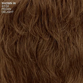 Paula Young Long Color Me Beautiful WhisperLite Wig Long, Soft Wispy Layers with Sides Brushed Forward Or Back For A Natural Look/Multi-tonal Shades of Blonde, Silver, Brown, and Red