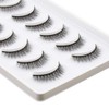 EMEDA 10 Styles False Eyelashes, Natural False Eyelashes, Set of