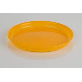 Kimmel Children's Place Setting Plate