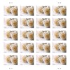100 FOREVER STAMPS 5 SHEETS White Rose Wedding Invitations