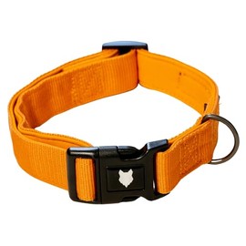 Fenrir Ragnar Dog Collar, Padded Neoprene, Breathable Nylon Pet Collar Adjustable for All Dog Breeds and Sizes (Orange, XL)