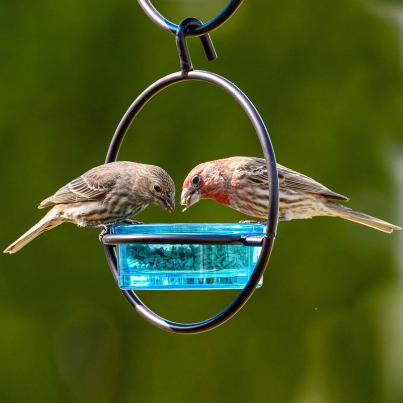 Mosaic Birds Hummble Basic Bird Feeder, M045-200-09, 3.4 Ounce Capacity,