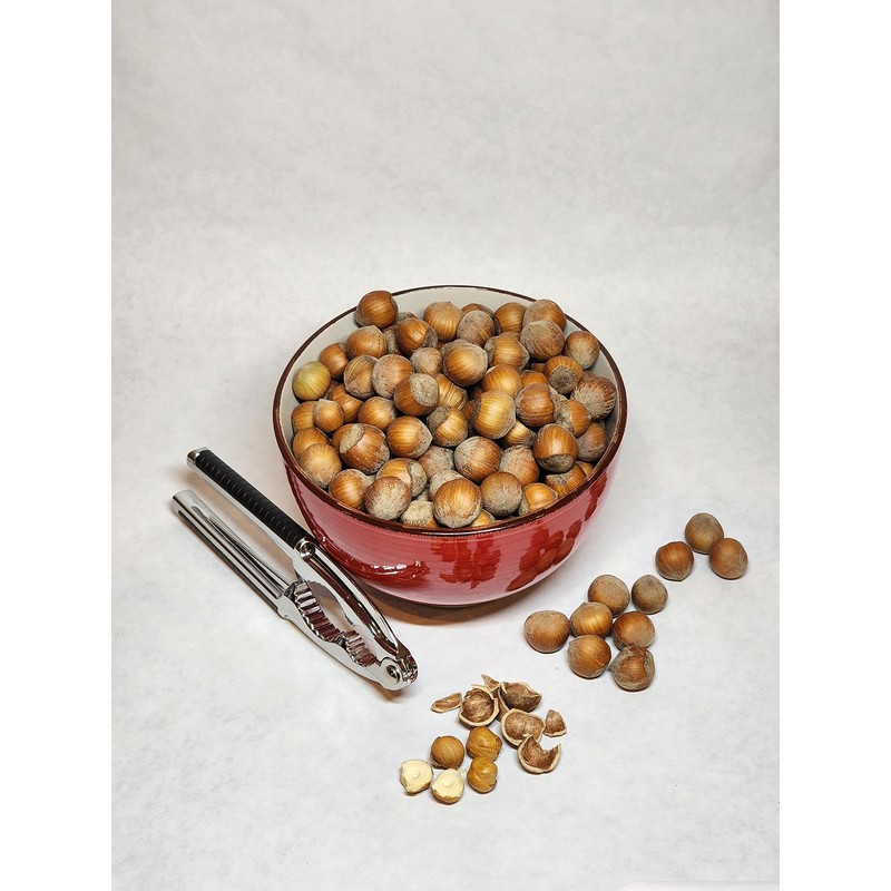 Hazelnuts in-shell, grown in our family's orchard in Washington state