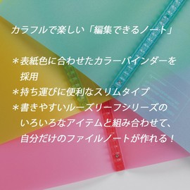 Maruman B5 File Notebook, Inspiration, Green, F017-03