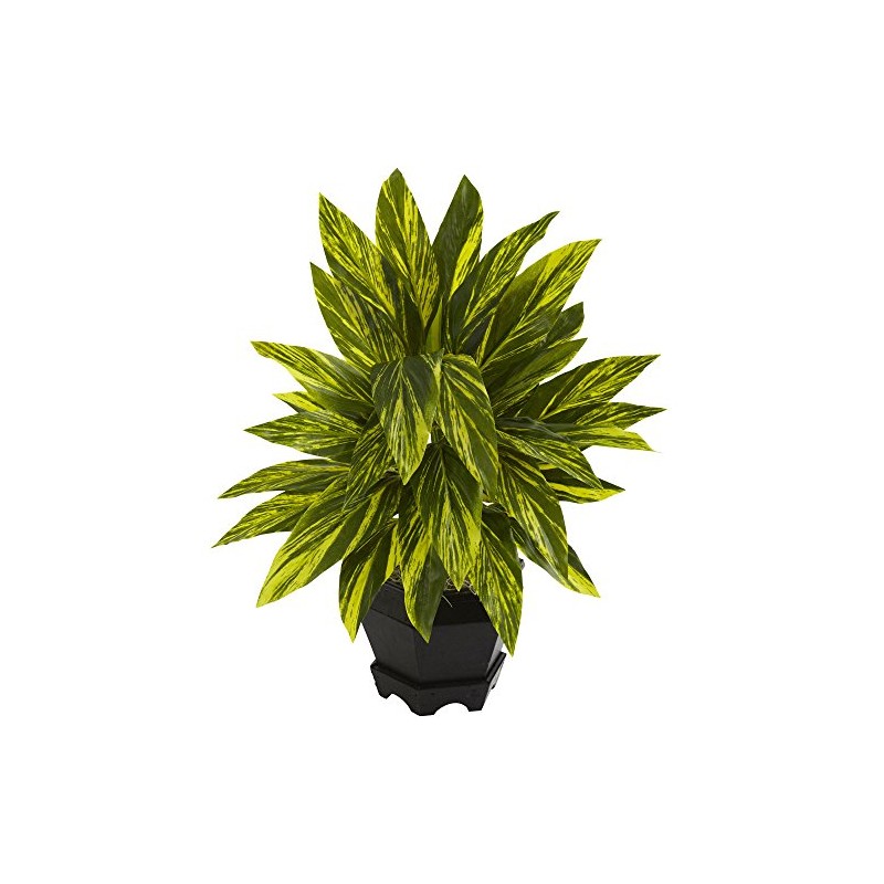 Nearly Natural Ginger Plant with Black Planter