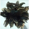 Texas Feathers Inc Asian Cock Tail Feather Duster Washable Wood