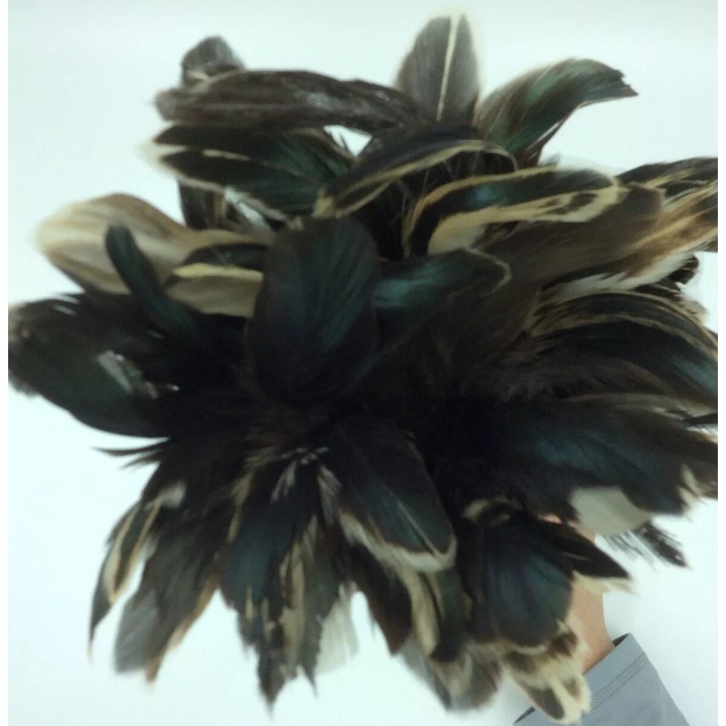 Texas Feathers Inc Asian Cock Tail Feather Duster Washable Wood
