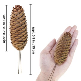 Winlyn 20 Pcs Christmas Natural Pine Cone Picks Rustic Spruce Pine Cones 5.9" Christmas Tree Decorations Hanging Pinecones for Christmas Tree Wreath Garland Holiday Party Table Centerpiece Crafts