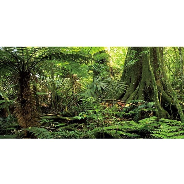 AWERT 48x24 inches Forest Terrarium Background Stone Green Huge Tree Reptile Habitat Background Tropical Rainforest Aquarium Background Durable Polyester Background