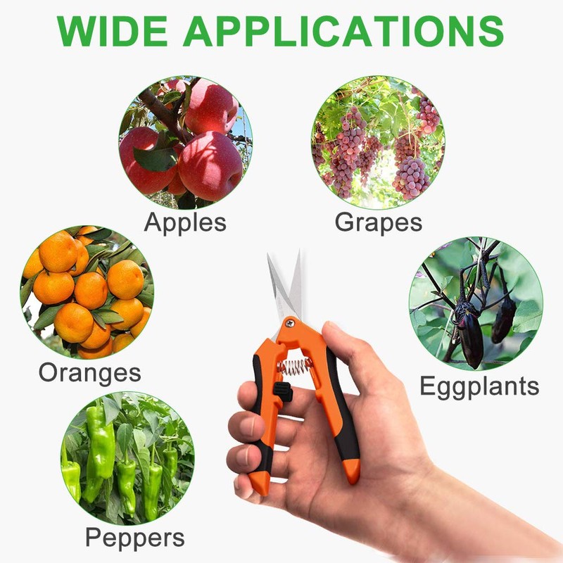 GROWNEER 6 Packs Pruning Shears Gardening Hand Pruning Snips with
