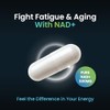 Forestleaf Suplemento de Nad+: 500 Mg de Nad Plus Puro