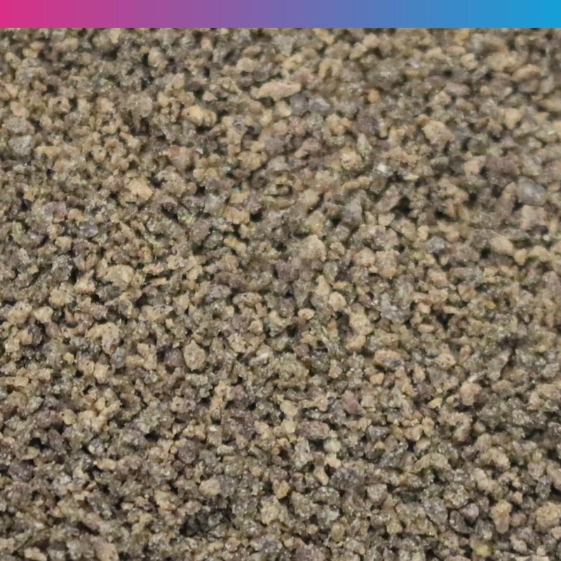 NT Labs Pro-F Probiotic Tropical Fish Food For Freshwater Tropical