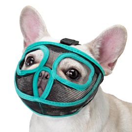 OHCOZZY Short Snout Dog Muzzle, Adjustable Won’t Cover Eyes Mesh Bulldog Muzzle for Biting Chewing Licking(XL,Green)
