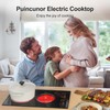 Puincunor Electric Cooktop, Built-in and Countertop 2 burner Electric Burner