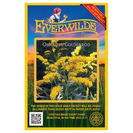 Everwilde Farms - 2000 Old Field Goldenrod Native Wildflower Seeds - Gold Vault Seed Packet