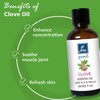 GM Gumili Clove Oil Essential Oil for Home Diffuser Skin
