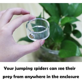 JILINWEI 2Pcs Small Jumping Spider Feeding Dish, Magnetic Tiny Food Dishes Water Dish for Jumping Spider, Tarantula and Other Small Pets,35mm