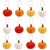 12 PCS Mini Pumpkins Decorations, Autumn Hanging Ornaments, Knitted Pumpkin