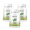 Bio B | Neem 3 Pack de 60 cápsulas veganas