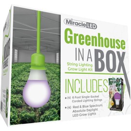 Miracle LED Absolute Daylight Red & Blue Spectrum 100W Replacement Greenhouse in a Box Single-Socket 6 Ft Corded LED Grow Light Bulb Kit (4-Pack)