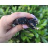 Longwell 6 FT Computer AC Power Cable 18 AWGX3C PSU