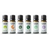 L'VANAH Naturals 100% Pure Essential Oil Aromatherapy Therapeutic Grade Natural