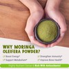 MAJU's Organic Moringa Powder (1 Pound), Oleifera Leaf, Extra-Fine Quality,