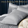 Smbeope 100% Mulberry Silk Pillowcase 2 Pack for Hair and