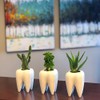 Hedume 6 Pack Tooth Shaped Planter Pots, Small Cute Flower