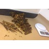Homemade Genuine New Mexico 2oz HOT/MILD Dehydrated Green Chile (Chile