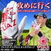 FLAZ Freds Golf Glove Men's Left Hand White Small