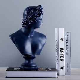 LYFJXX Ancient Greece European Resin David Venus Head Statuees Decoration Home Livingroom Goddess Sculpture Figurin Office Desktop Furnishing Crafts (David)…