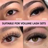 Eyesy Lash 500 Promade Fans | 8D 0.05 Size 10