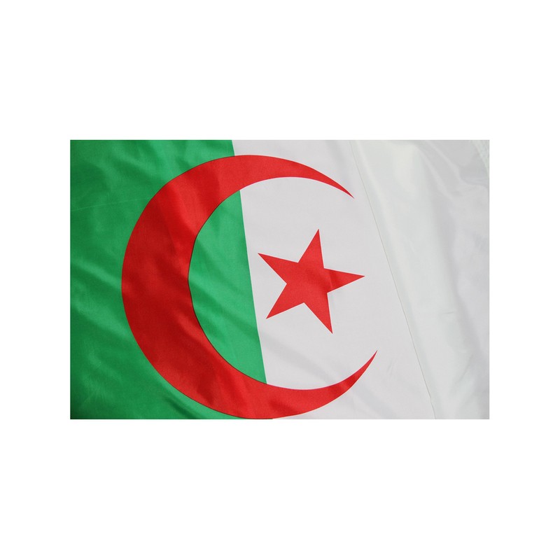 Algeria National Flag (Pack of 50), 3' x 5'